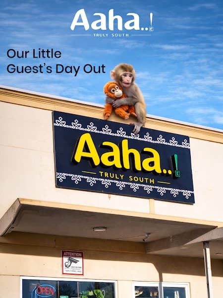 Aaha Truly South - South Indian Veg Restaurant in Scarborough | Pure Veg Dining | Indian Veg Catering Services in Scarborough