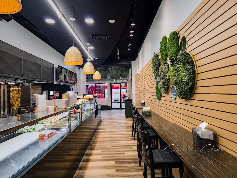 Alpha's Shawarma (230 Queen St.)