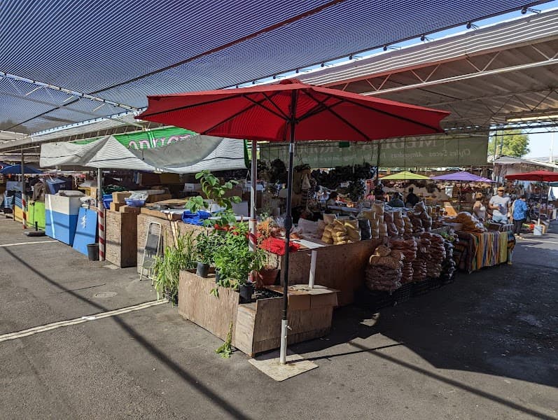 The San Jose Flea Market
